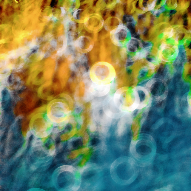 Wheat Circled - ID 008690