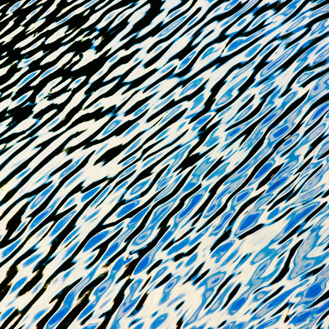 Zebra Water - ID 008761