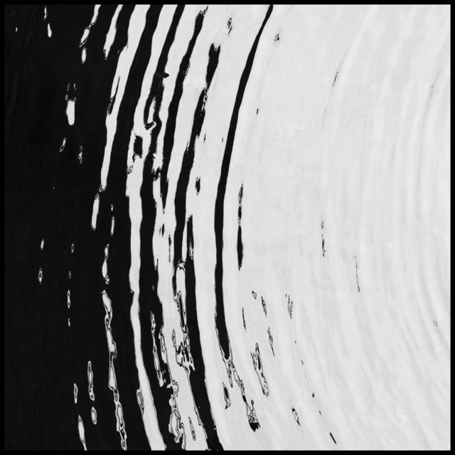 Water Bows I - ID 008776