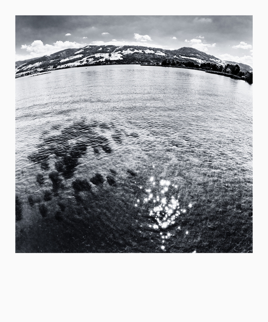 Lake Zurich III - ID 008781