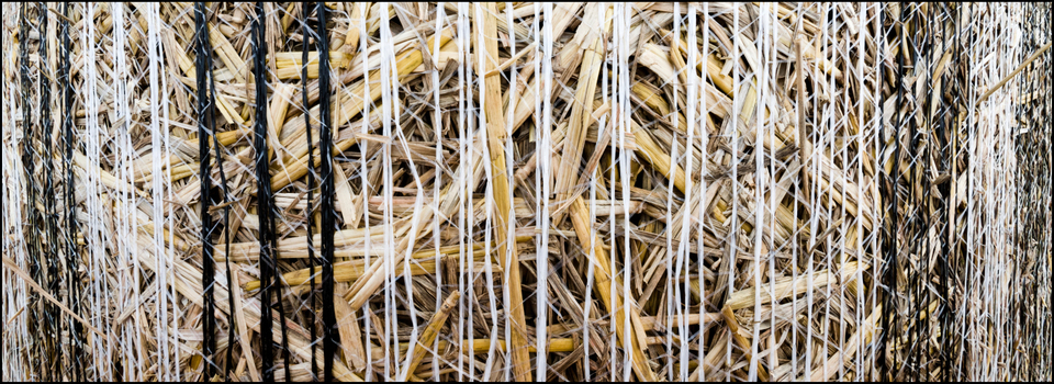 Straw Role II - ID 008795