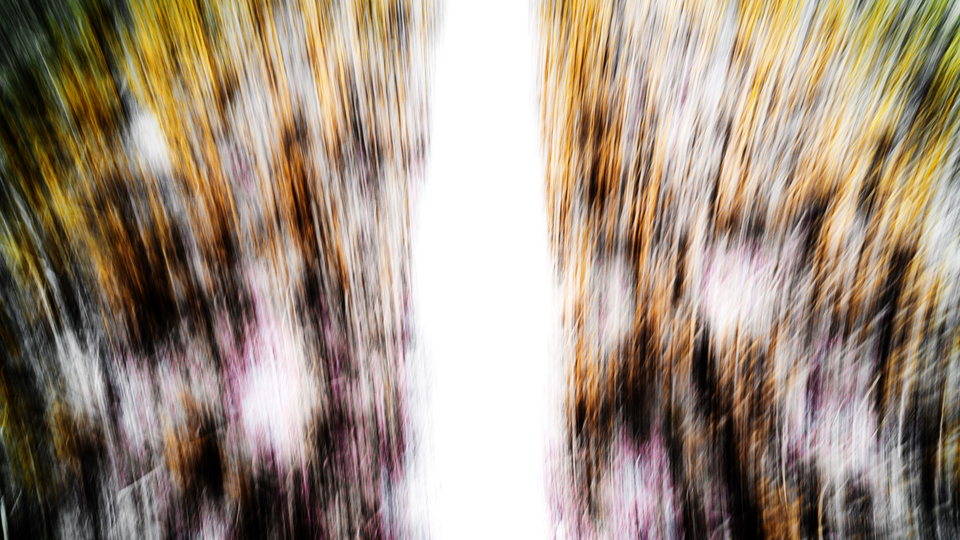 Straw Field Color II - ID 008802