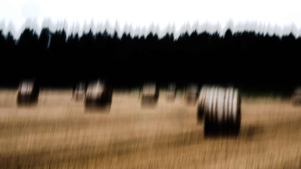 Harvested Straw Field Roles III - ID 008810