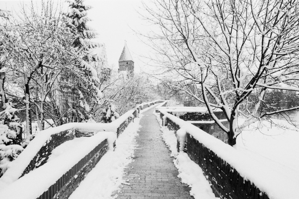 View from on the Wall - ID 008826