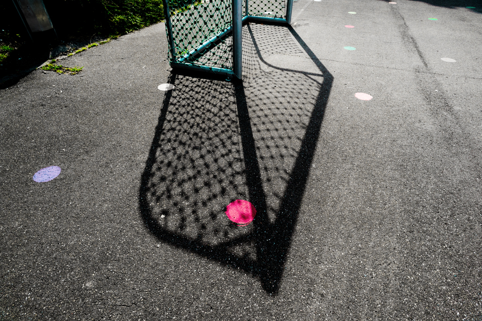 Dosts and Goal - ID 008840