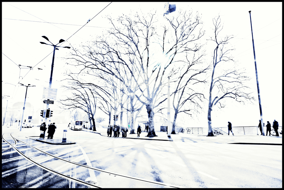 At the Lake Zurich I - ID 008878