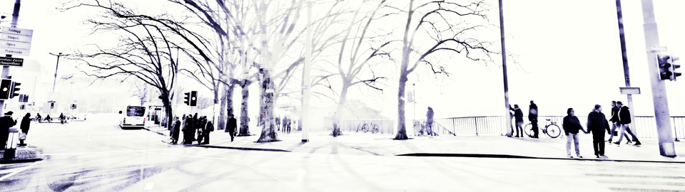 At the Lake Zurich II - ID 008879