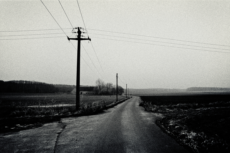 Street to Farm - ID 008915