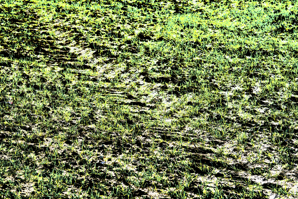 Ordinary - ID 008966