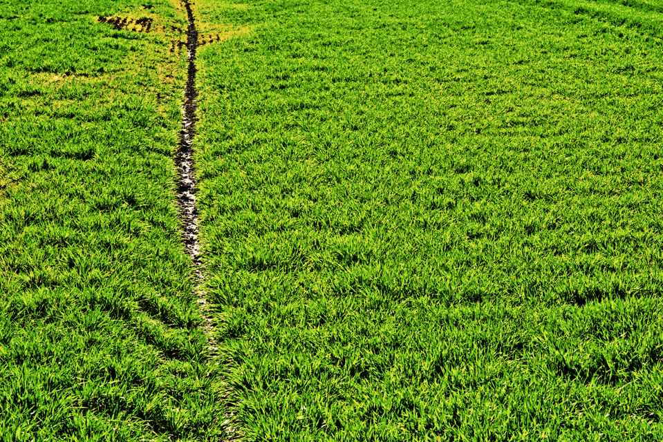 Greenfield III - ID 008971