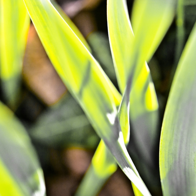 Desaturated Cross - ID 008982