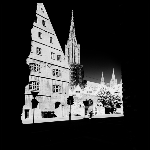 White IV - ID 009048