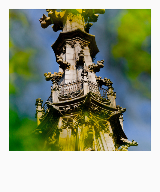 Sky Platform Between Trees - ID 009059