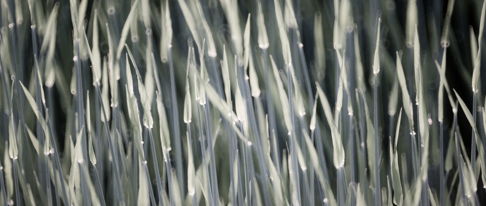 Arrows I - ID 009095