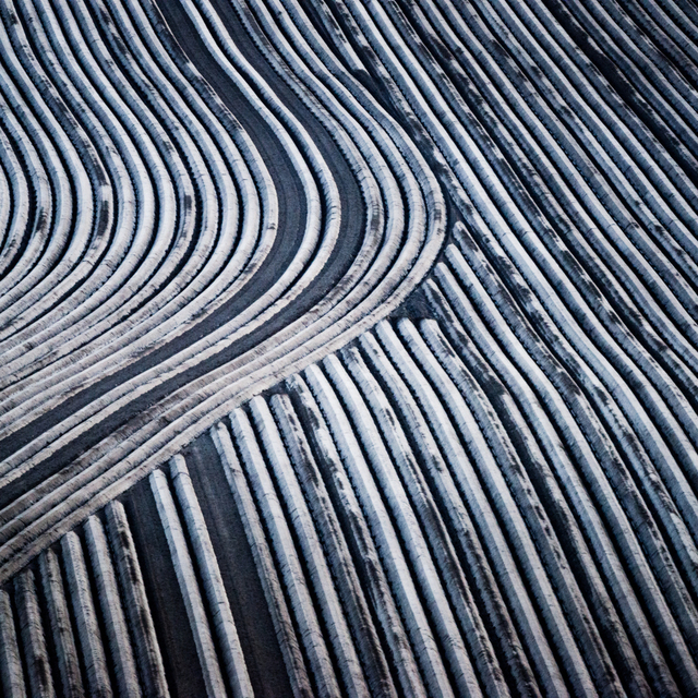 Prepared Potato Field X - ID 009105