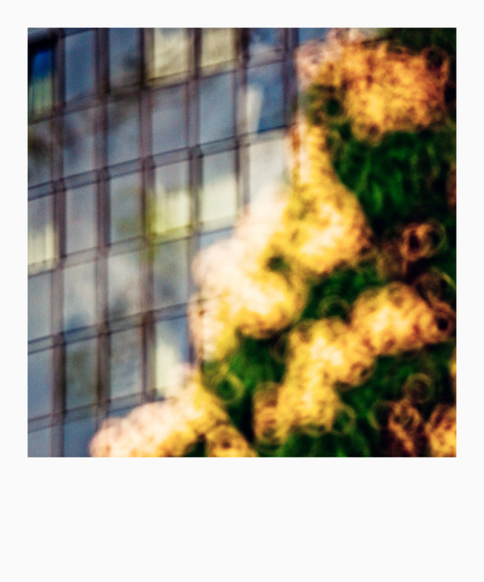 Windows Diagonal - ID 009120