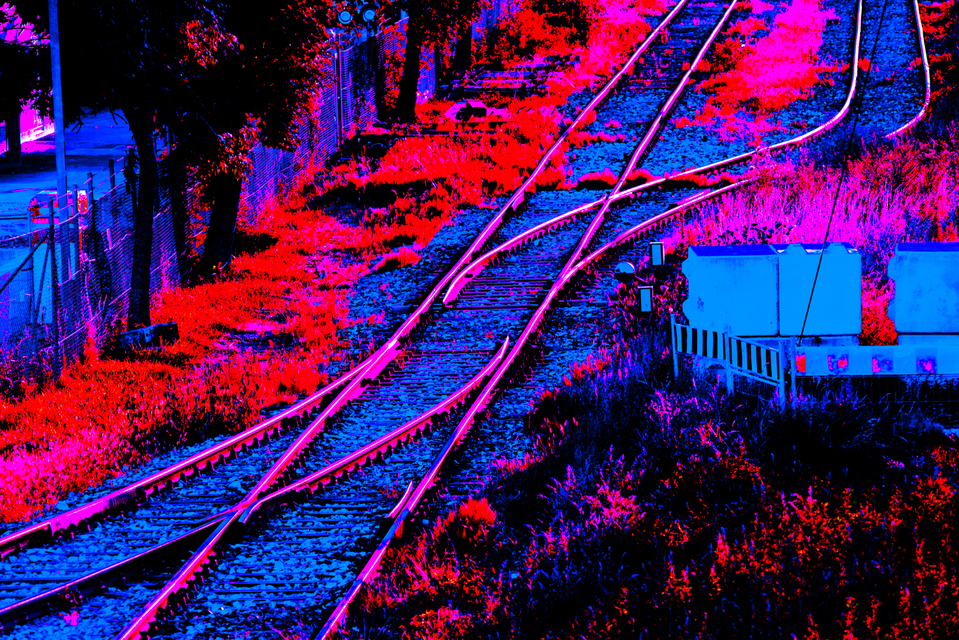 Wrong Color - ID 009146