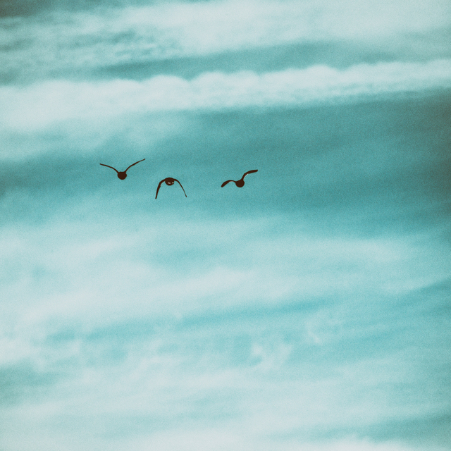 Formation I - ID 009183