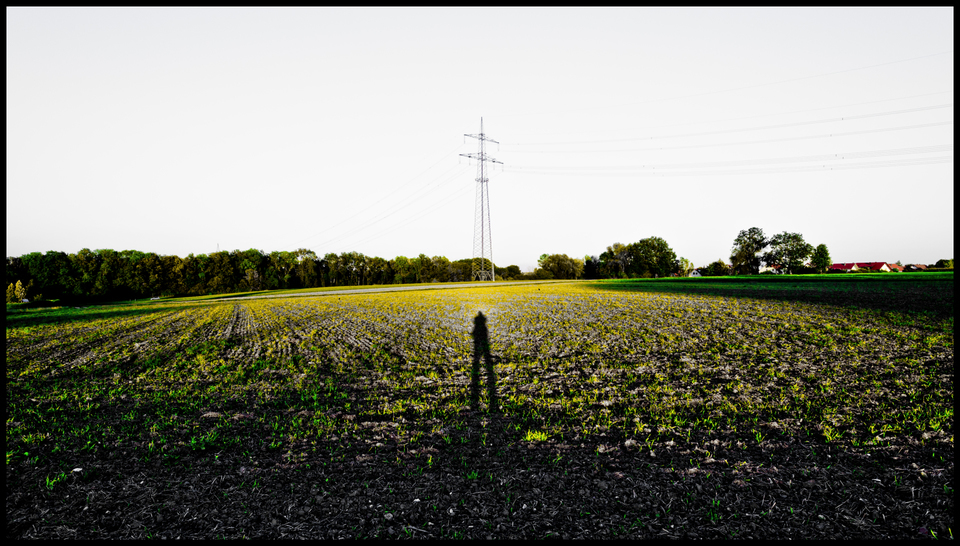 Sunny Sunday II - ID 009194