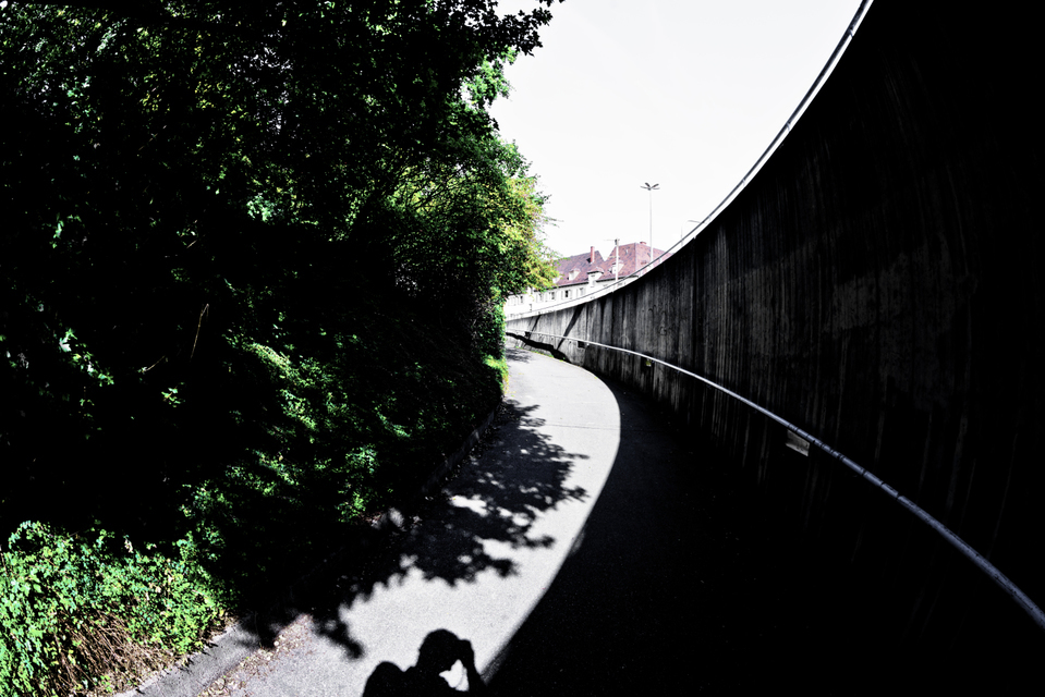 Bow Shadow - ID 009197