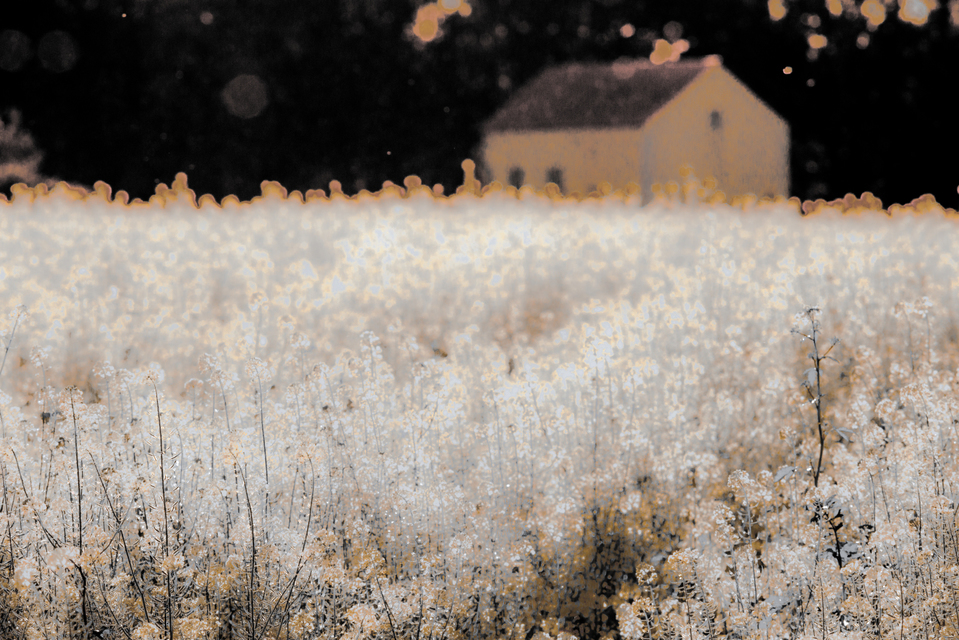 Rape and House - ID 009256