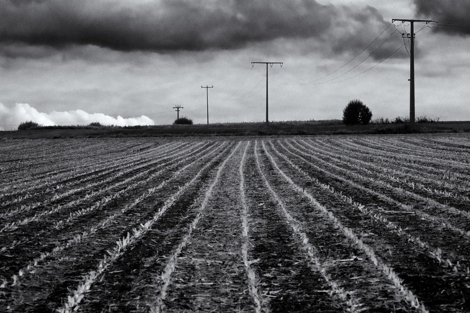 Empty Fields - ID 009274