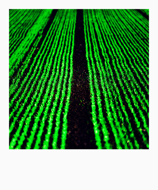 New Green II - ID 009283