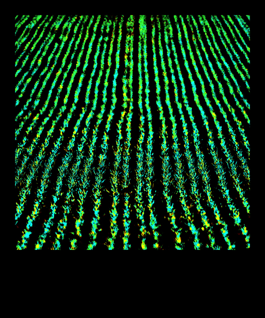 New Green VI - ID 009287