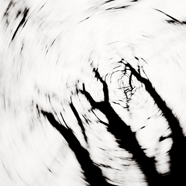 Chestnut Trees III - ID 009340