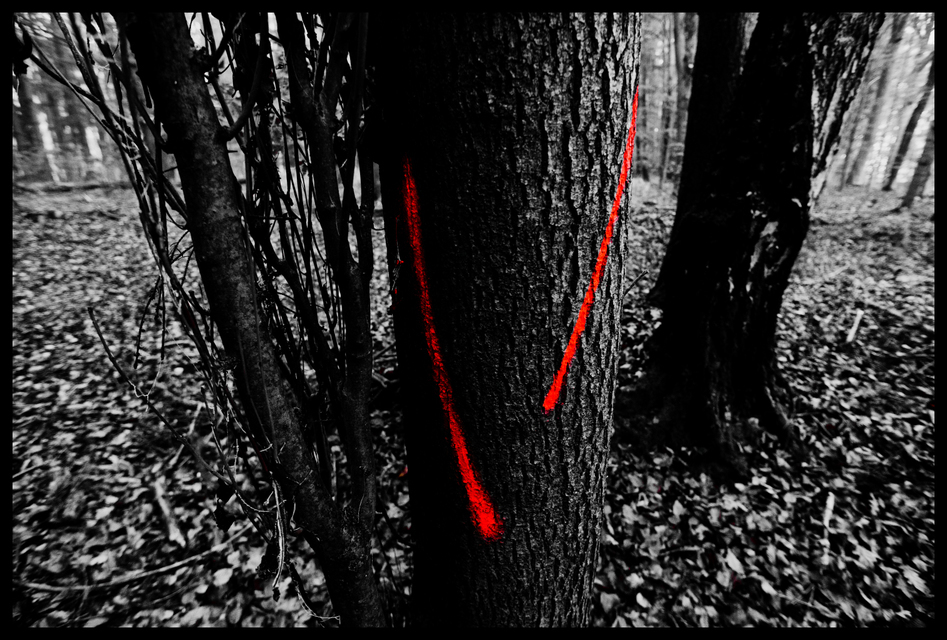 Signs IV - ID 009349