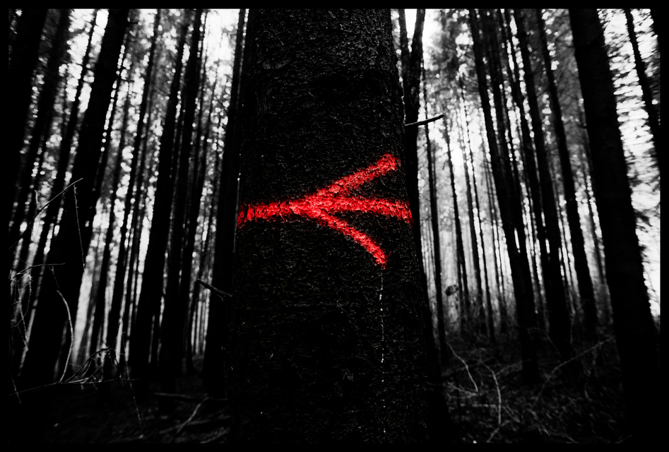 Signs VI - ID 009351