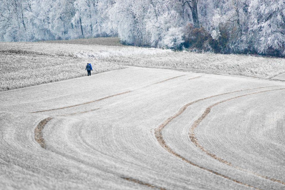 Winter Walk - ID 009386
