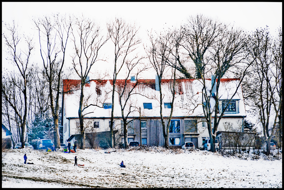 Tobogganing - ID 009422