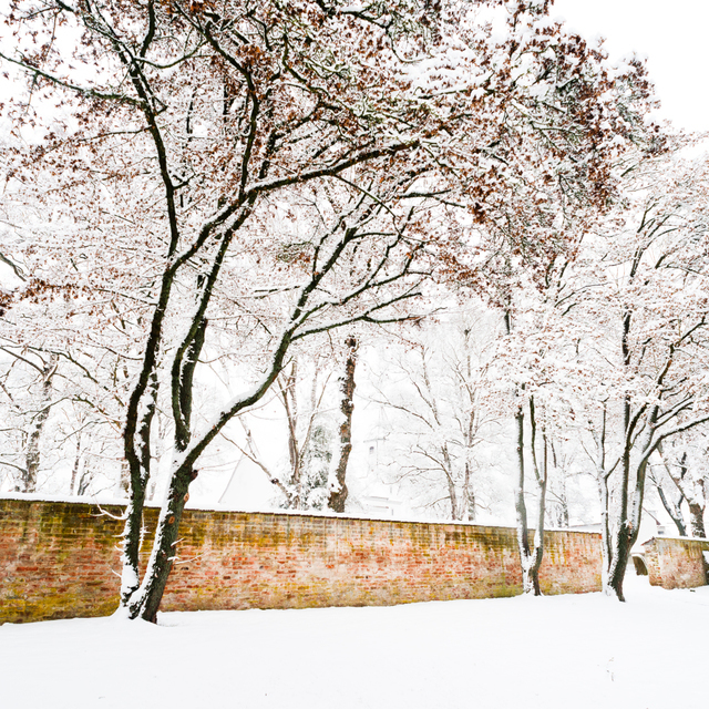 Graveyard Wall - ID 009428