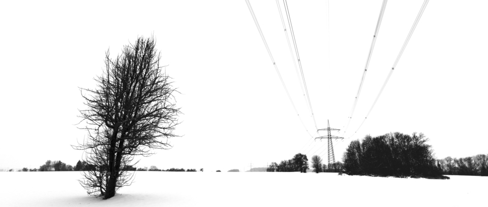 Winter III - ID 009467