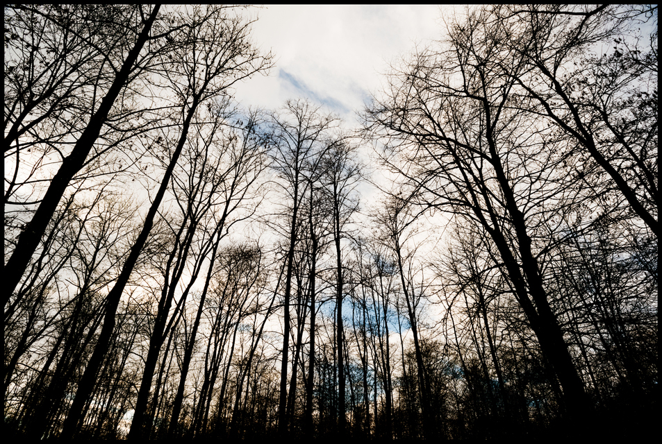 Blueish Sky - ID 009474