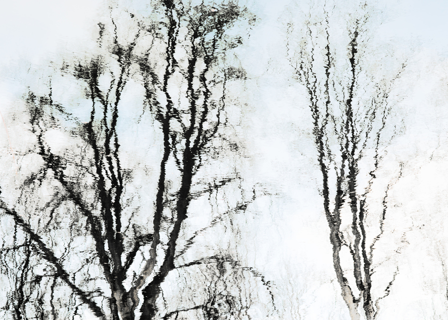 Blueish Tree Mirror - ID 009475