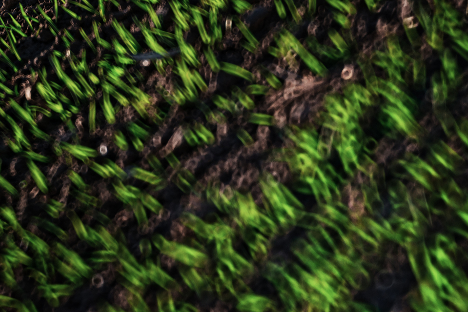 Bubble Field - ID 009507