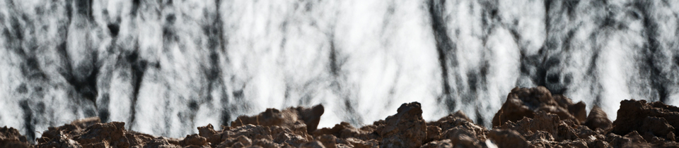 For and Background - ID 009572