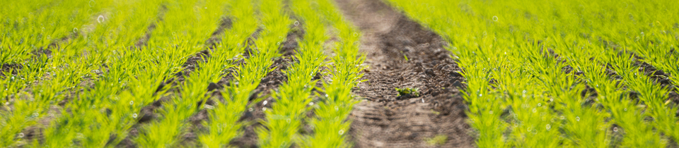 In Between I - ID 009573