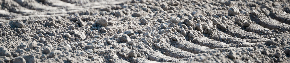 In Between II - ID 009574