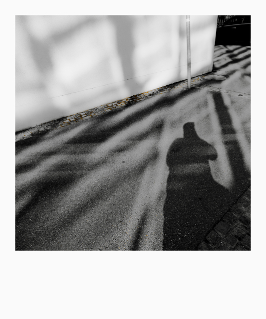 Shadows and Refections III - ID 009617