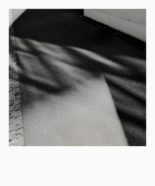 Shadows and Refections IV - ID 009618