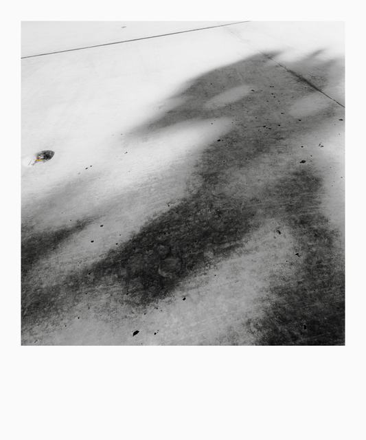 Shadows and Refections V - ID 009619