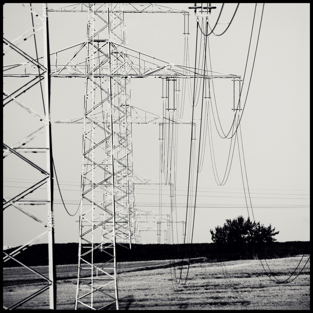 Strong Row II - ID 009644