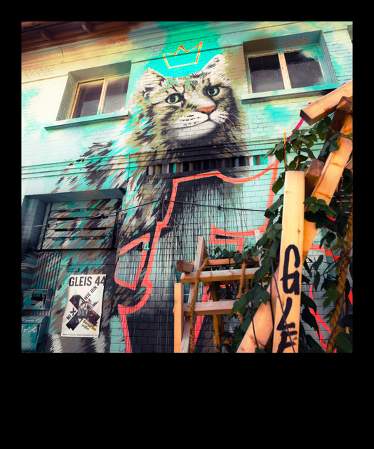 Wall Cat I - ID 009651