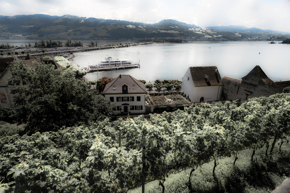 Rapperswil Lake Zurich - ID 009679