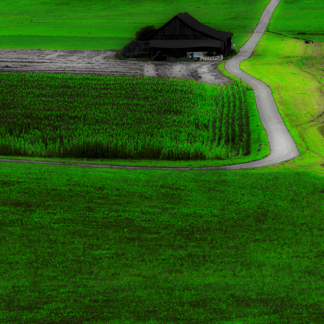 Greenish - ID 009700