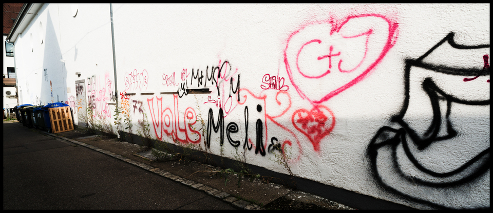 Vole Meli - ID 009729