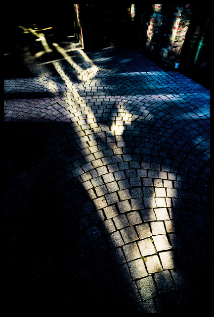 Light Traces I - ID 009736